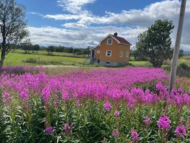 Bogstrand, Dverbergveien 11, 8485 Dverberg